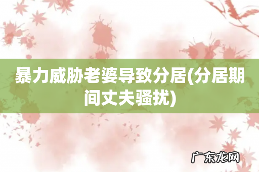 分居期间丈夫骚扰 暴力威胁老婆导致分居