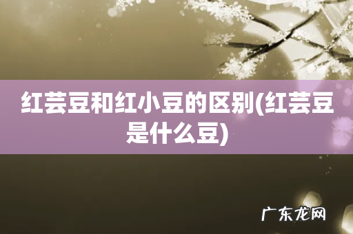 红芸豆是什么豆 红芸豆和红小豆的区别