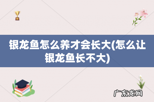 怎么让银龙鱼长不大 银龙鱼怎么养才会长大