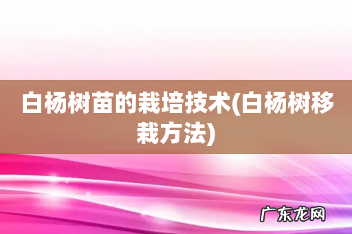 白杨树移栽方法 白杨树苗的栽培技术
