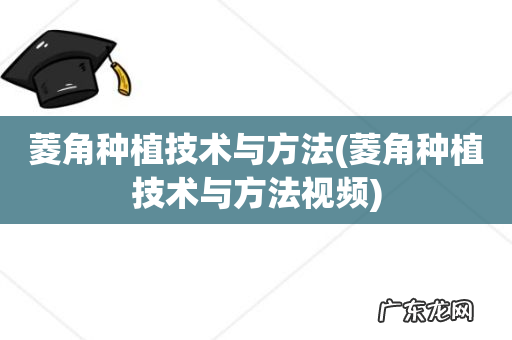 菱角种植技术与方法视频 菱角种植技术与方法