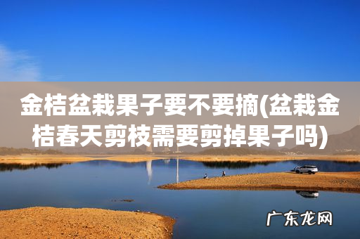 盆栽金桔春天剪枝需要剪掉果子吗 金桔盆栽果子要不要摘