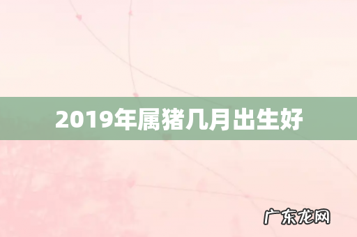 2019年属猪几月出生好