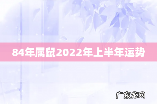 84年属鼠2022年上半年运势