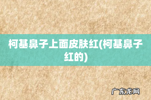 柯基鼻子红的 柯基鼻子上面皮肤红