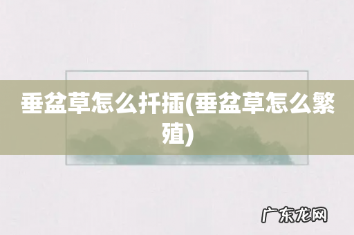 垂盆草怎么繁殖 垂盆草怎么扦插