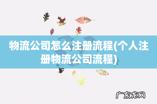 个人注册物流公司流程 物流公司怎么注册流程