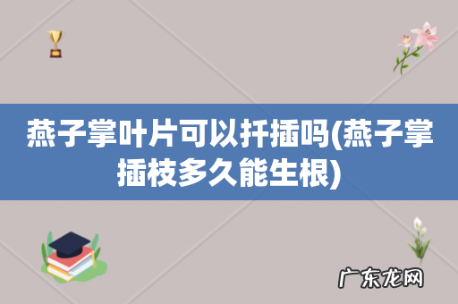 燕子掌插枝多久能生根 燕子掌叶片可以扦插吗