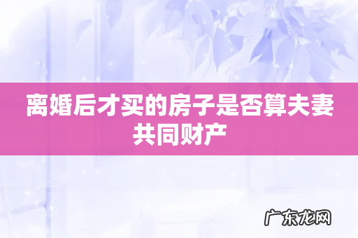 离婚后才买的房子是否算夫妻共同财产