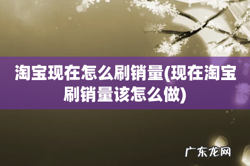 现在淘宝刷销量该怎么做 淘宝现在怎么刷销量
