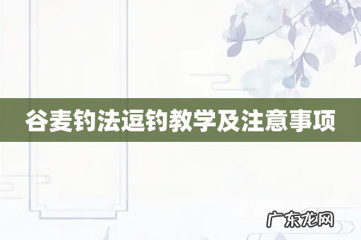 谷麦钓法逗钓教学及注意事项