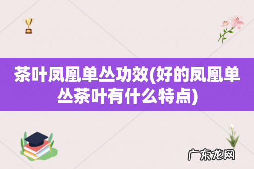 好的凤凰单丛茶叶有什么特点 茶叶凤凰单丛功效