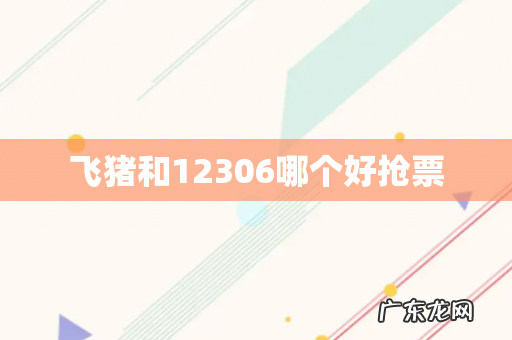 飞猪和12306哪个好抢票
