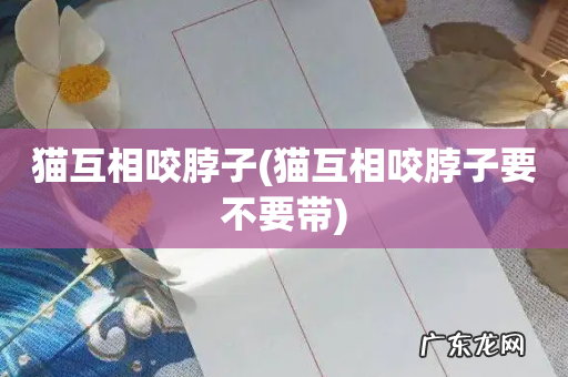 猫互相咬脖子要不要带 猫互相咬脖子