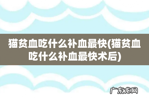 猫贫血吃什么补血最快术后 猫贫血吃什么补血最快