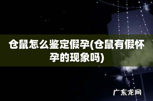 仓鼠有假怀孕的现象吗 仓鼠怎么鉴定假孕