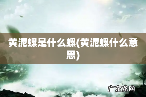 黄泥螺什么意思 黄泥螺是什么螺