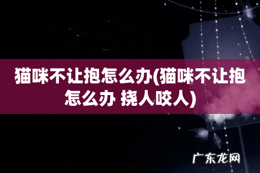 猫咪不让抱怎么办 挠人咬人 猫咪不让抱怎么办