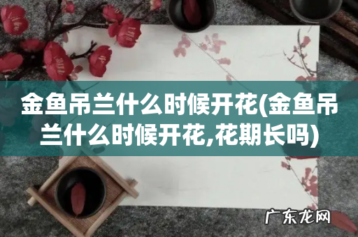 金鱼吊兰什么时候开花,花期长吗 金鱼吊兰什么时候开花