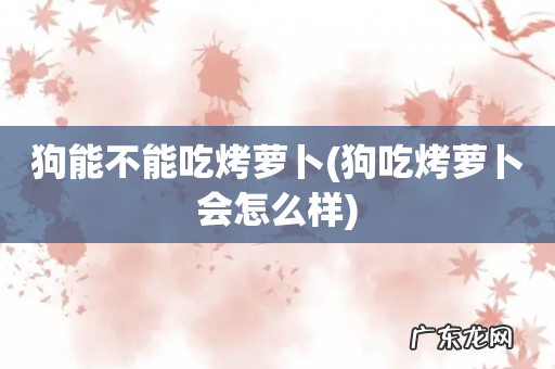 狗吃烤萝卜会怎么样 狗能不能吃烤萝卜