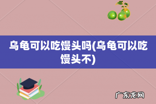 乌龟可以吃馒头不 乌龟可以吃馒头吗