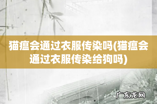 猫瘟会通过衣服传染给狗吗 猫瘟会通过衣服传染吗