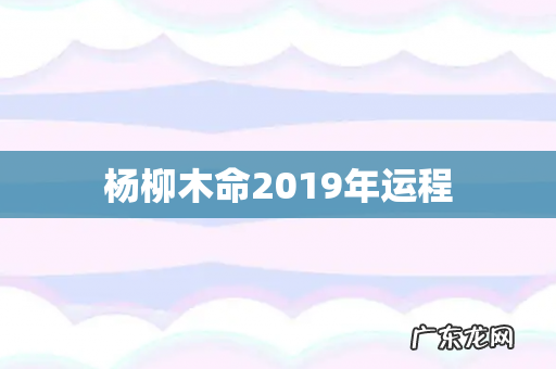 杨柳木命2019年运程