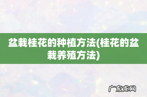 桂花的盆栽养殖方法 盆栽桂花的种植方法