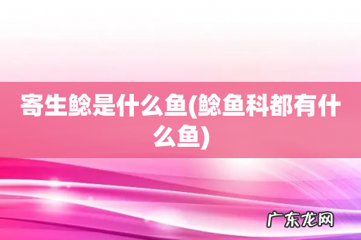 鲶鱼科都有什么鱼 寄生鲶是什么鱼