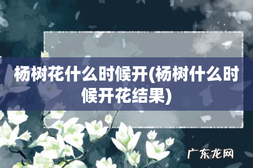 杨树什么时候开花结果 杨树花什么时候开