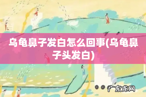 乌龟鼻子头发白 乌龟鼻子发白怎么回事