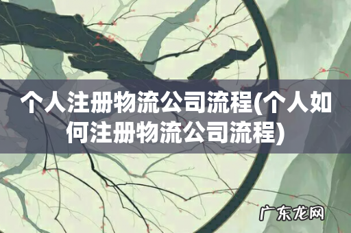 个人如何注册物流公司流程 个人注册物流公司流程