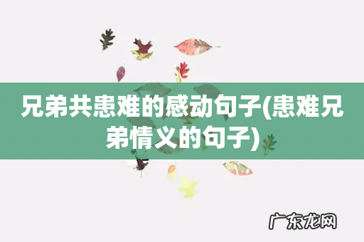 患难兄弟情义的句子 兄弟共患难的感动句子