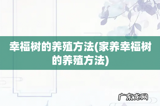 家养幸福树的养殖方法 幸福树的养殖方法