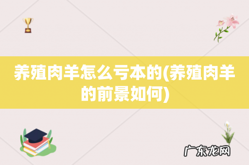 养殖肉羊的前景如何 养殖肉羊怎么亏本的