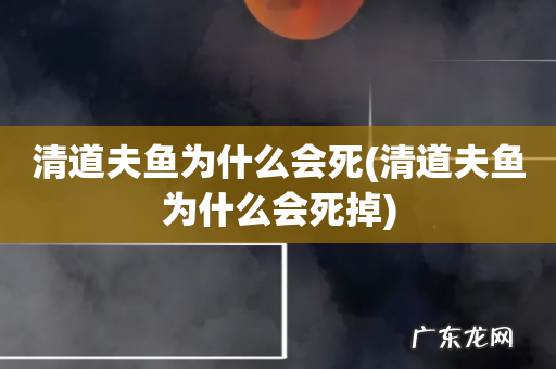 清道夫鱼为什么会死掉 清道夫鱼为什么会死