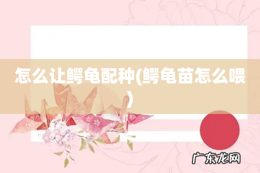 鳄龟苗怎么喂 怎么让鳄龟配种