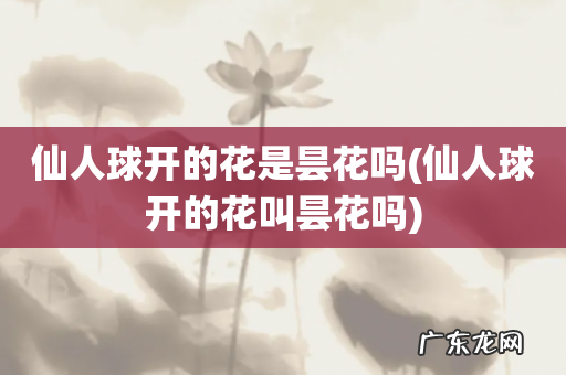 仙人球开的花叫昙花吗 仙人球开的花是昙花吗