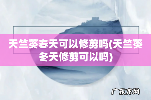 天竺葵冬天修剪可以吗 天竺葵春天可以修剪吗