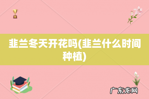 韭兰什么时间种植 韭兰冬天开花吗