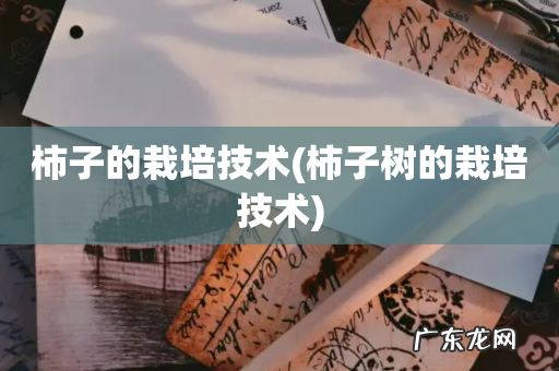 柿子树的栽培技术 柿子的栽培技术