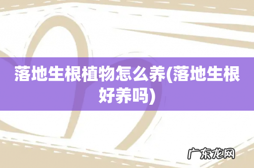 落地生根好养吗 落地生根植物怎么养