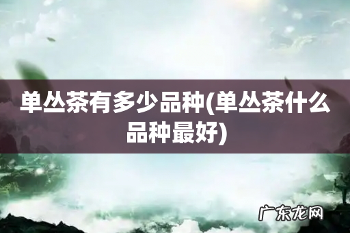 单丛茶什么品种最好 单丛茶有多少品种
