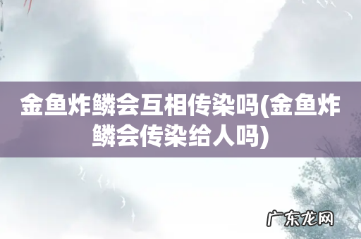 金鱼炸鳞会传染给人吗 金鱼炸鳞会互相传染吗