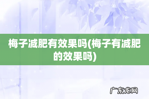 梅子有减肥的效果吗 梅子减肥有效果吗