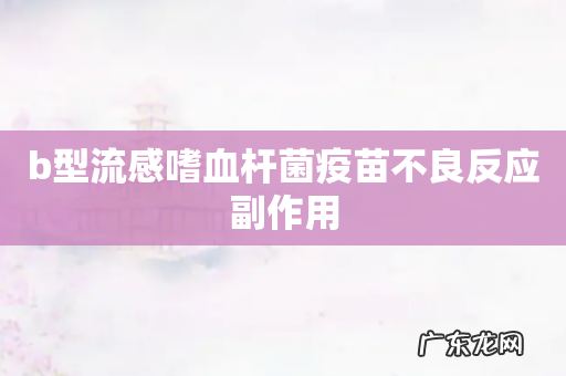b型流感嗜血杆菌疫苗不良反应副作用