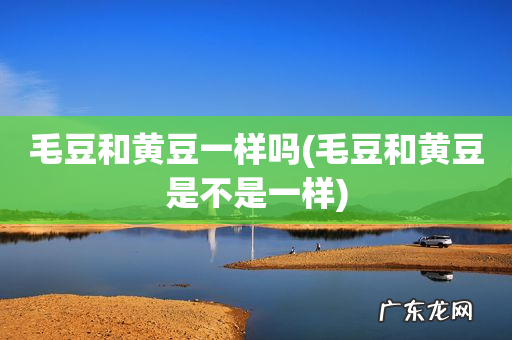 毛豆和黄豆是不是一样 毛豆和黄豆一样吗
