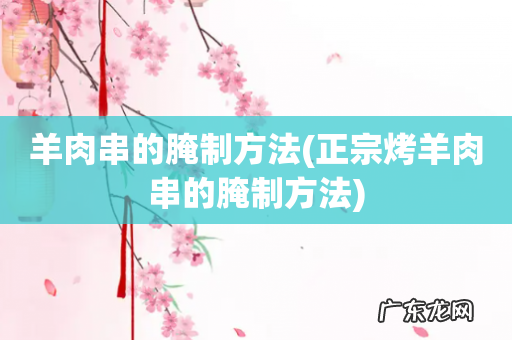 正宗烤羊肉串的腌制方法 羊肉串的腌制方法