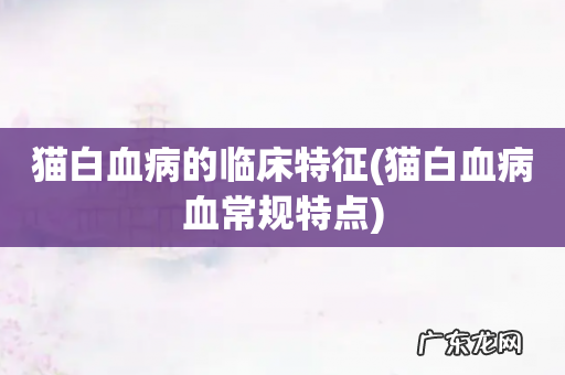 猫白血病血常规特点 猫白血病的临床特征