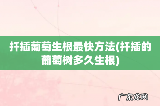 扦插的葡萄树多久生根 扦插葡萄生根最快方法